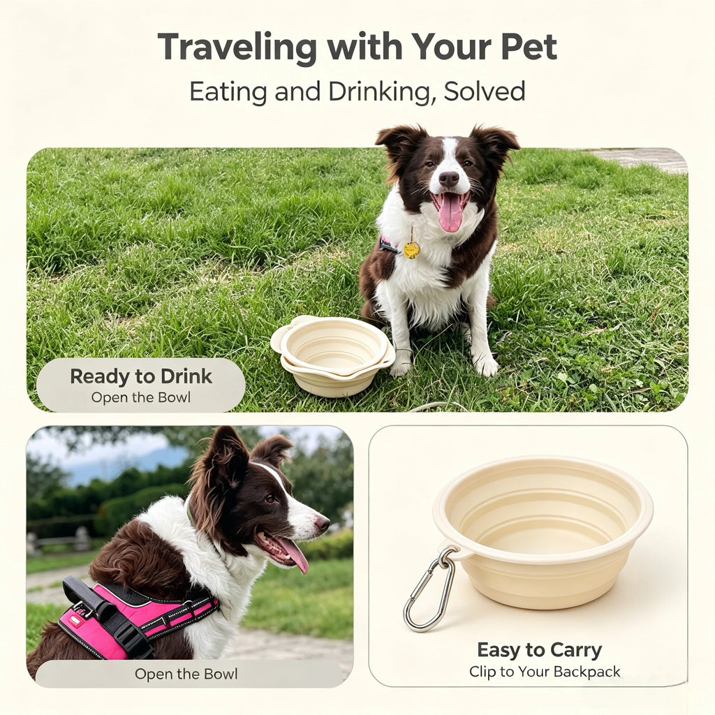 Portable Collapsible Silicone Pet Bowl - product image 10