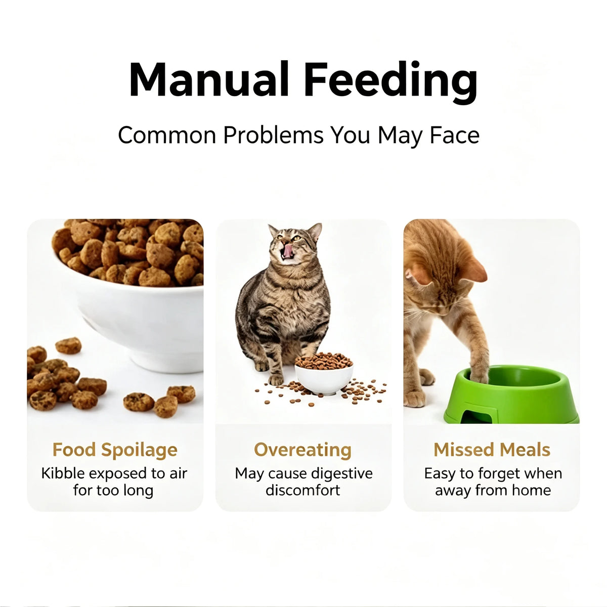 Smart Timed Automatic Pet Feeder with Lid - product image 1