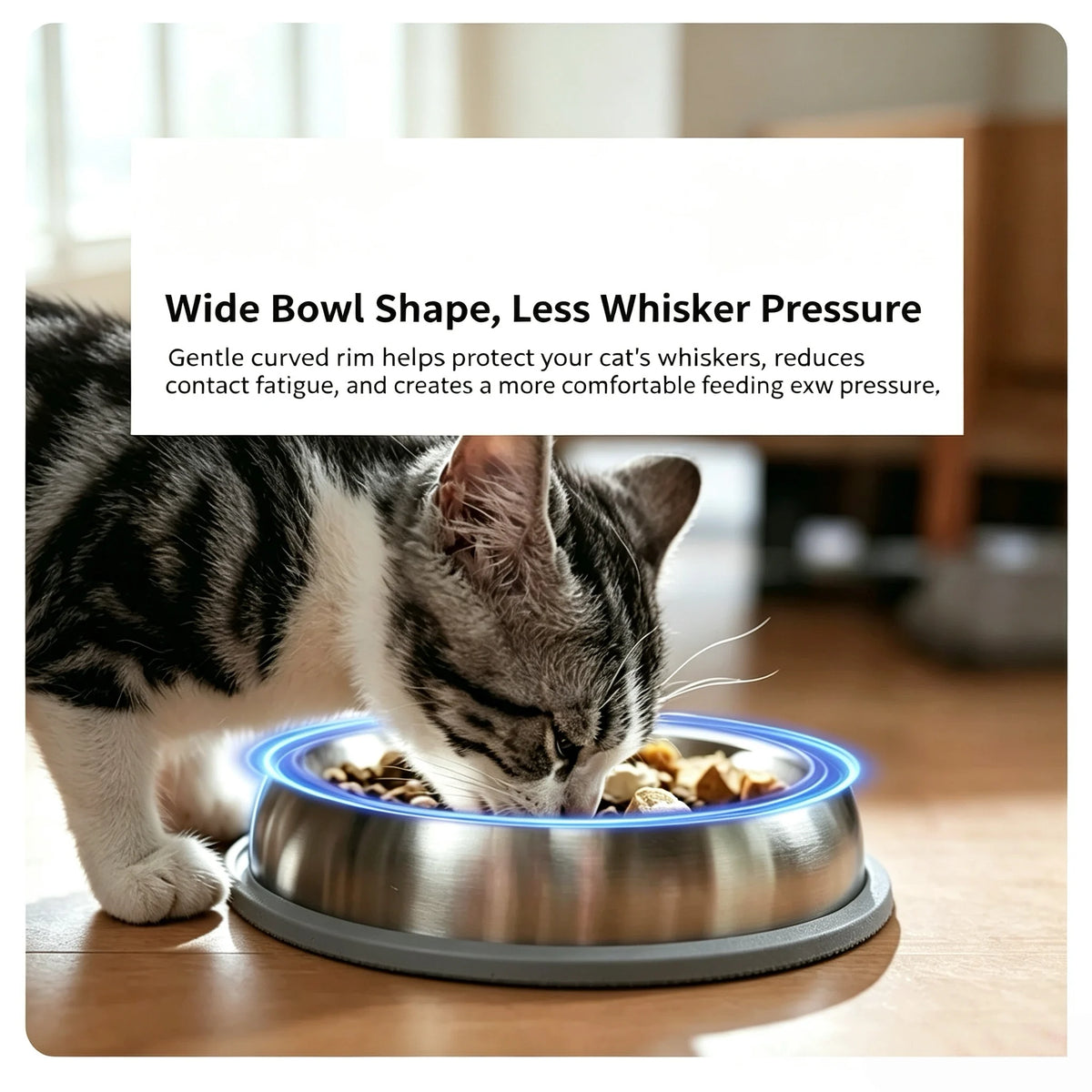 Stainless Steel Shallow Anti-Choke Pet Bowl - product image 9